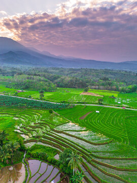 the beauty of the foggy morning panorama with sunrise and rice fields in Bengkulu, indonesia, asia