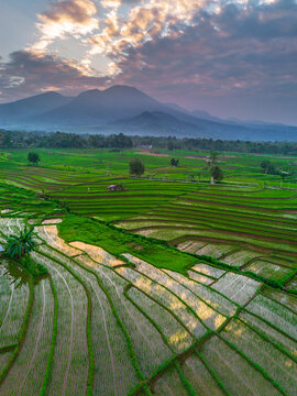 the beauty of the foggy morning panorama with sunrise and rice fields in Bengkulu, indonesia, asia