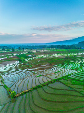 the beauty of the foggy morning panorama with sunrise and rice fields in Bengkulu, indonesia, asia