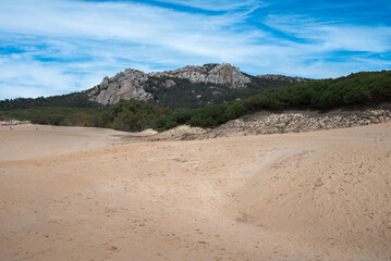 Sand dunes and Mediterranean scrub vegetation in the Bolonia dune natural area, with rocky hills in the background, in Tarifa, Cadiz, Spain © ihervas