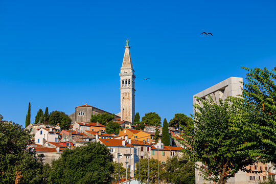 Bell Tower Above Historic Rooftops in Rovinj Croatia. Bell tower rises above colorful terracotta rooftops and green trees in the historic old town of Rovinj, Croatia under a clear blue sky.