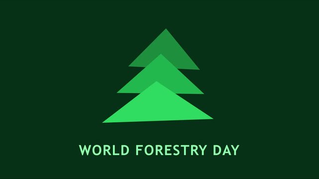 Forestry day minimalist flat animation with green pine tree 4k environment ecology nature conservation