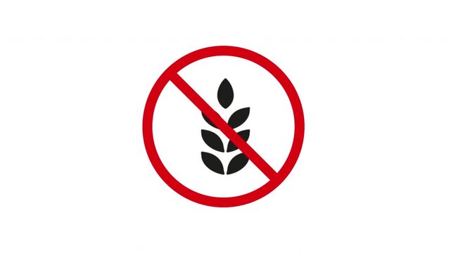 No Gluten Solid Animated Icon With Alpha Channel. Gluten-Free, Allergy Awareness, And Dietary Restriction Silhouette Motion Graphic. Health And Nutrition. On Transparent Background