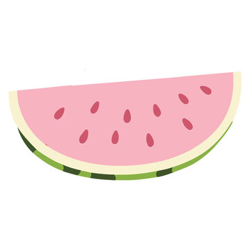 Pastel pink watermelon slice fresh fruit summer sweet food vector illustration