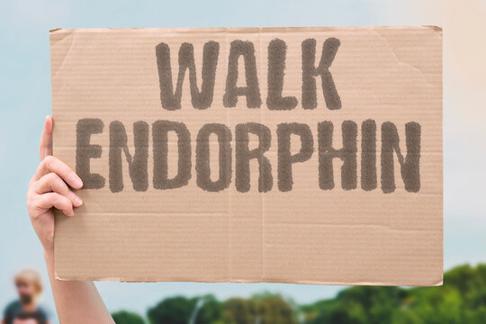 "Walk endorphin" Physical activity releases feel-good chemicals. WALK. ENDORPHIN. BLOOD. FLOW. BRAIN.