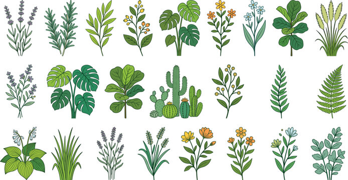 Botanical Plant and Flower Collection Vector Illustration Set