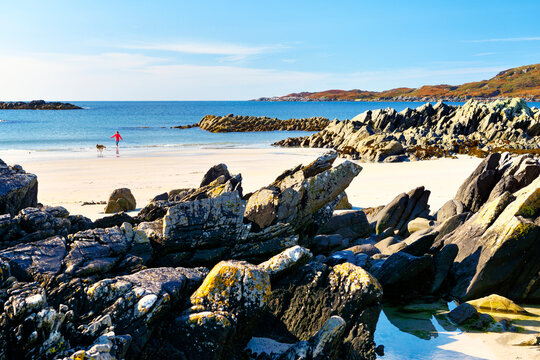 Sanna beach on Ardnamurchan peninsula on west coast of Scotland. Woman walking dog on deserted unspoilt white sand in the western Scottish Highlands