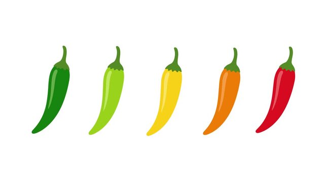 Spicy meter animated colorful chili peppers appearing in sequence from mild to hot on 4k white background