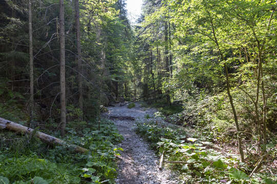 Abenteuerliche Schluchtenwanderung im Slowakischen Paradies