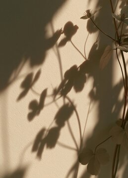 Close-up of a plant with white flowers and green leaves. the plant is casting long shadows on a beige wall. the leaves are arranged in a symmetrical pattern, creating a sense of depth and dimension.