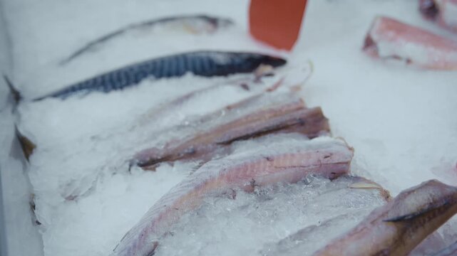Assortment of fresh raw fish, including mackerel and fillets, displayed on crushed ice at a market