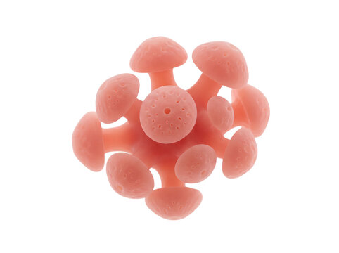 Human taste bud papillae cluster showing 3d micro sensory pore structure for food science, flavor technology, culinary art concept isolated on transparent background