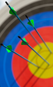 Archery arrows hitting the bullseye, symbolizing business success and accuracy