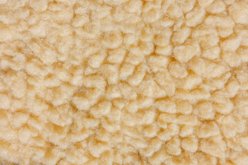 Soft beige teddy fleece fabric texture close up background © Iryna Miadzvedzeva