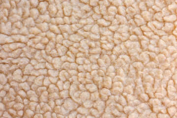 Beige artificial shearling fleece texture with soft wool loops © Iryna Miadzvedzeva