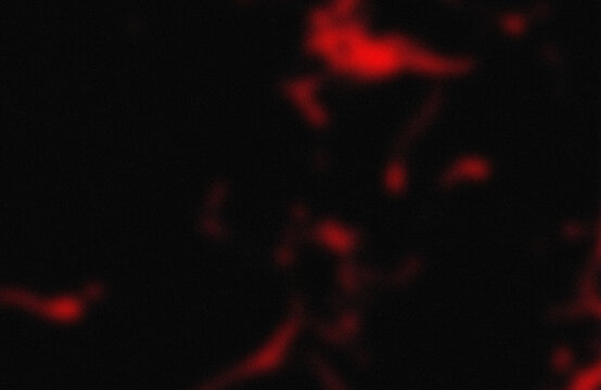 Red fluorescent abstract shapes on dark background