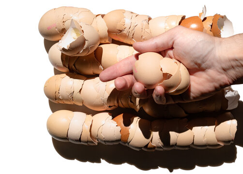 Chicken eggshells held in a man&rsquo;s hand isolated on a white background, contrast light with dark shadows