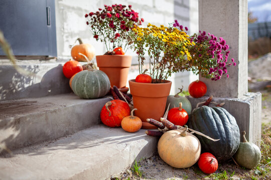 House exterior decorated for autumn with pumpkins terracotta pots with mums corn cobs. Porch ready for Thanksgiving. Fall display