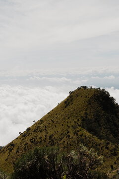 Steep grassy mountain peak standing above dense white cloud layer