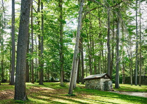 Orenda Spring, Saratoga Spa State Park in Saratoga Springs, New York.