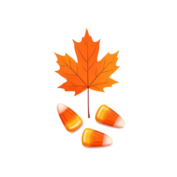Autumn Maple Leaf with Candy Corns on White Background.