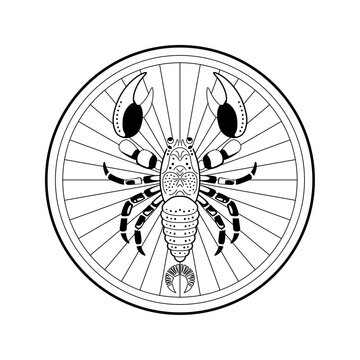 line art, Scorpio zodiac sign, circular design