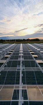 Vast Solar Panel Array at Sunset in Rijkevorsel, Belgium &mdash; Renewable Energy Farm Aerial Perspective
