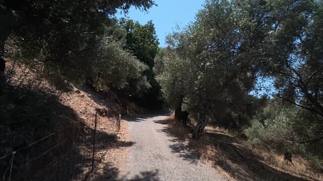 A car drives slowly along a dangerous winding mountain road on the island of Crete, Greece.