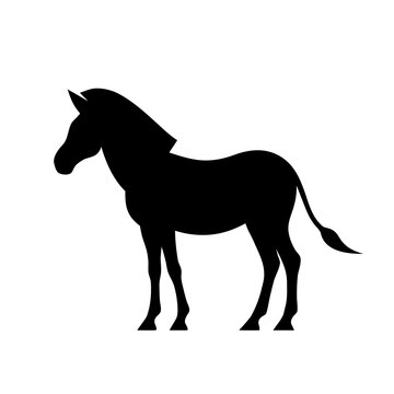 silhouette of a horse