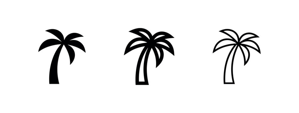 Palm Tree Icon Set. Tropical summer beach symbol in various styles: filled, bold outline, and thin line art vector illustration.