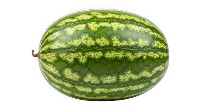 Fresh whole watermelon with green striped rind on a simple surface isolated on transparent background