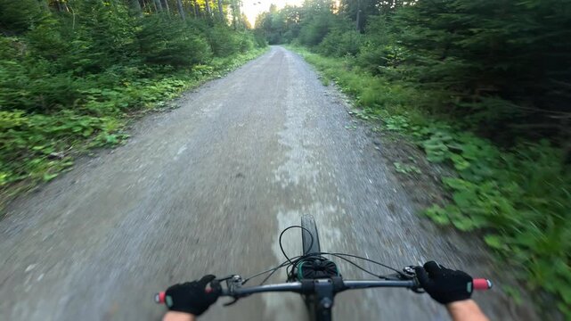 Action POV Mountain Biker Riding Down Asphalt Forest Road at Sunset
