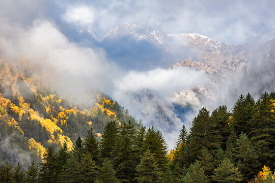 A misty autumn mountain landscape featuring snow-capped peaks, mixed forests, and rolling clouds.
