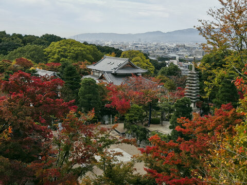 View of a traditional Japanese temple complex with a stone pagoda surrounded by vibrant autumn foliage and trees, with the city of Kyoto in the background in Kyoto, Kyoto, Japan.