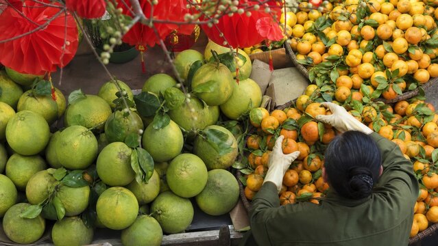 A market vendor stacking pomelos and mandarins beneath restrained red decorations, overhead editorial flat lay, for commercial stock use