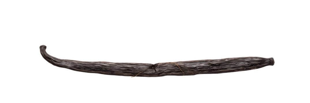 Single dark brown vanilla bean pod with a slight curve isolated on white