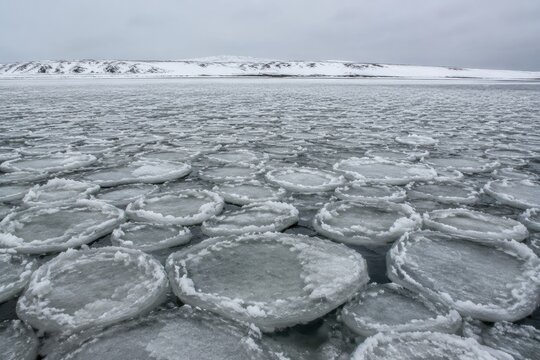 Pancake ice discs jostling along a cold grey shoreline