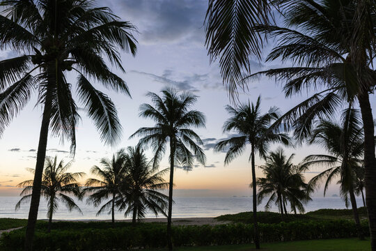 Palm tree silhouettes frame a tranquil tropical beach at sunset, with calm ocean waters and a pastel sky creating a peaceful, scenic atmosphere ideal for travel, relaxation, and nature projects.