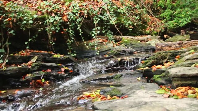 A tranquil little mountain stream flows through a slate gorge as healthy ecosystem and idyllic hiking path through mountain gorge cascade river flow or slate gorge cascade creek flow.