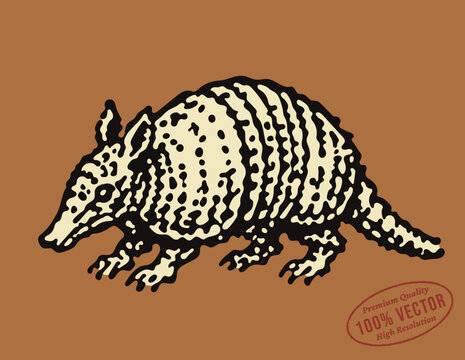 Retro vector illustration of an armadillo
