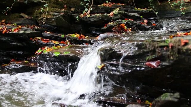 A tranquil little mountain stream flows through a slate gorge as healthy ecosystem and idyllic hiking path through mountain gorge cascade river flow or slate gorge cascade creek flow.