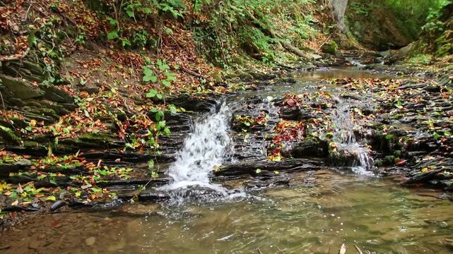 A tranquil little mountain stream flows through a slate gorge as healthy ecosystem and idyllic hiking path through mountain gorge cascade river flow or slate gorge cascade creek flow.