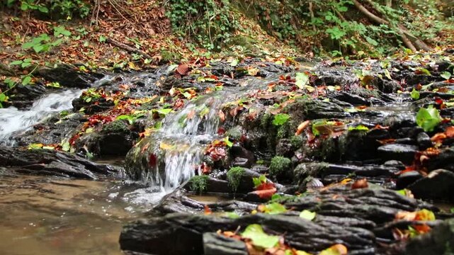 A tranquil little mountain stream flows through a slate gorge as healthy ecosystem and idyllic hiking path through mountain gorge cascade river flow or slate gorge cascade creek flow.