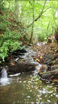 A tranquil little mountain stream flows through a slate gorge as healthy ecosystem and idyllic hiking path through mountain gorge cascade river flow or slate gorge cascade creek flow.
