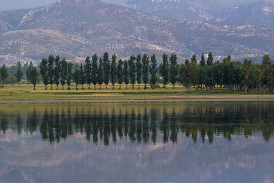 View of Uchhali Lake with a row of trees reflected in the calm water and mountains in the background in Khushab, Punjab, Pakistan.