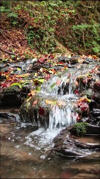 A tranquil little mountain stream flows through a slate gorge as healthy ecosystem and idyllic hiking path through mountain gorge cascade river flow or slate gorge cascade creek flow.