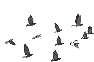 Fototapeta premium Grey silhouettes of a flock of flying birds, isolated vector illustration design element
