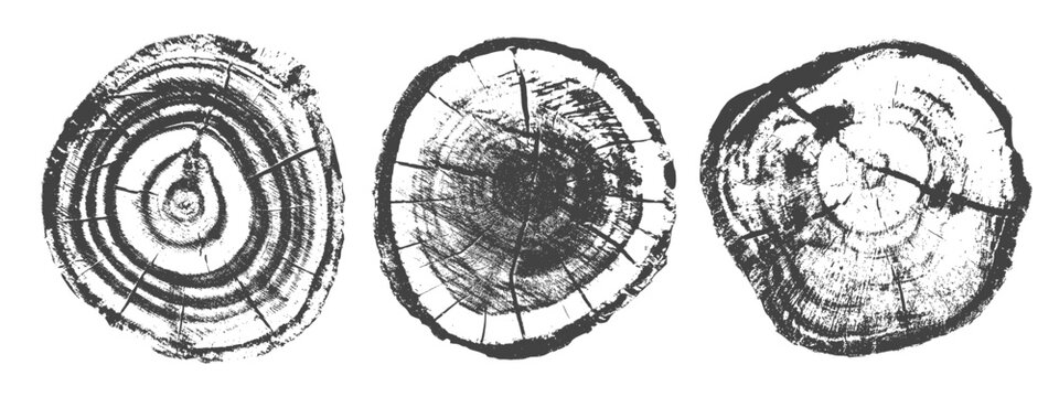 Natural wood texture with tree rings and grain pattern vector illustration set. Cross-section of trunk grunge stamp print showing annual growth circles of wooden stump with organic line collection.