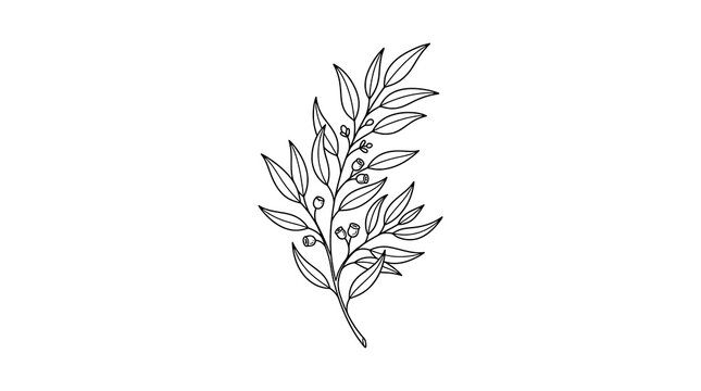 Black and white line art illustration of a eucalyptus branch