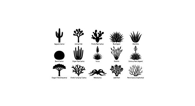 Desert Plants Vector Icons, Cactus & Succulent Collection, Botanical Illustrations